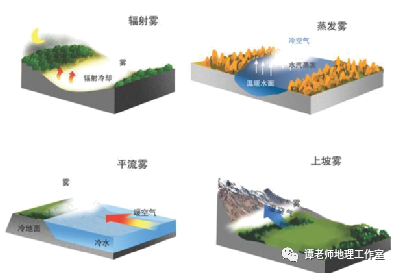【地理素养】关于高考地理雾的专题解读,学霸们都收藏了!|旧金山_新浪新闻
