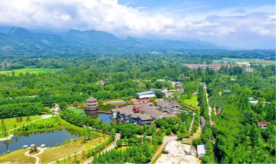 成都森林康养游