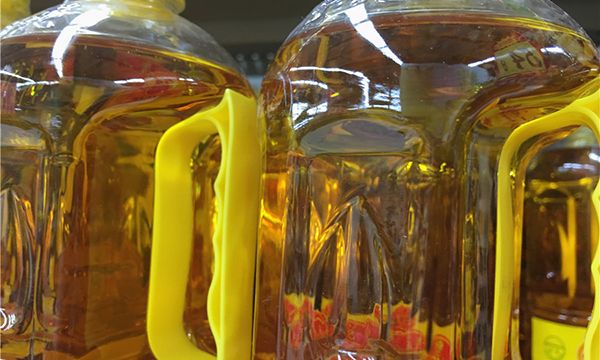 转基因食品会致癌吗?生活中的转基因食品有哪些?如何正确看待?休闲区蓝鸢梦想 - Www.slyday.coM 转基因食品会致癌吗?生活中的转基因食品有哪些?如何正确看待?休闲区蓝鸢梦想 - Www.slyday.coM