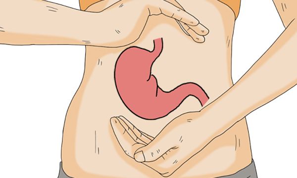 转基因食品会致癌吗?生活中的转基因食品有哪些?如何正确看待?休闲区蓝鸢梦想 - Www.slyday.coM 转基因食品会致癌吗?生活中的转基因食品有哪些?如何正确看待?休闲区蓝鸢梦想 - Www.slyday.coM