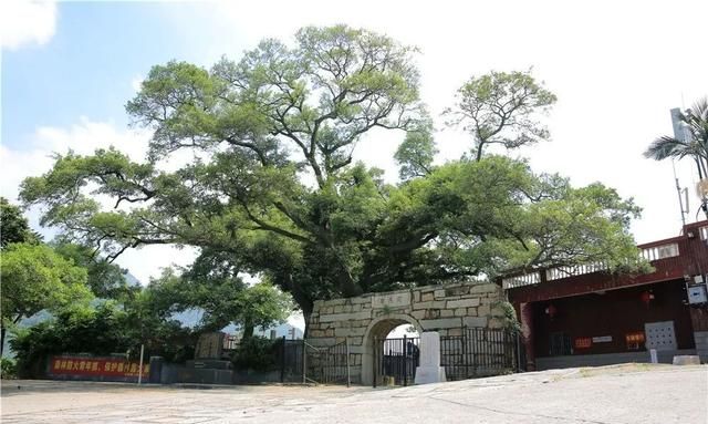 厦门翔安内厝镇后垵村,传统与现代交融,美丽乡村再焕生机