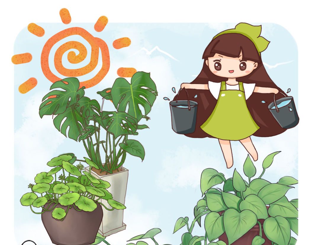 养花妙招不慎变"损招"?使用方法很重要,要重视