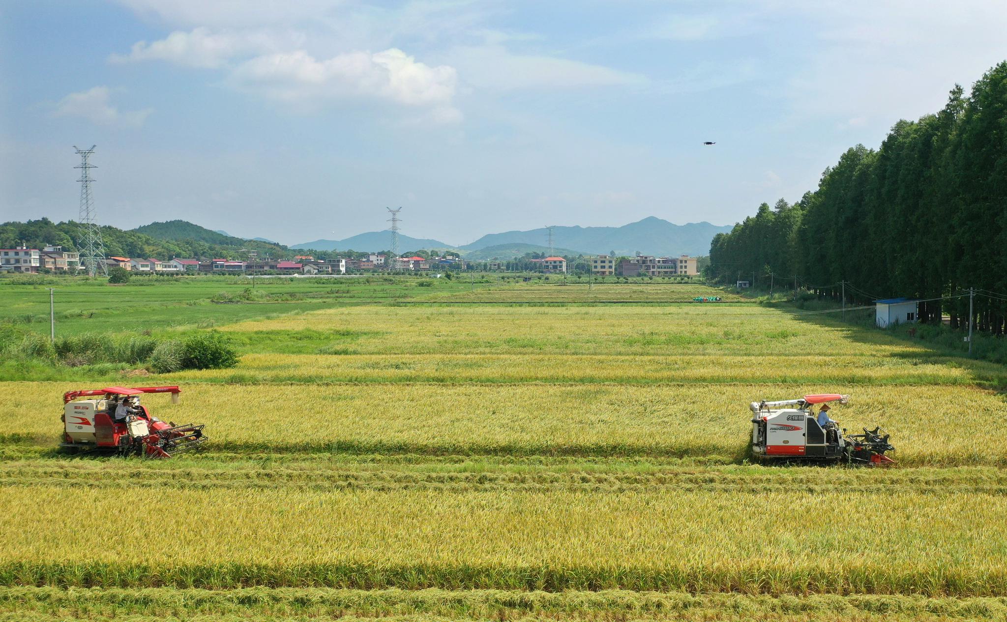 农业农村部:发展农业农村经济需引入社会资本