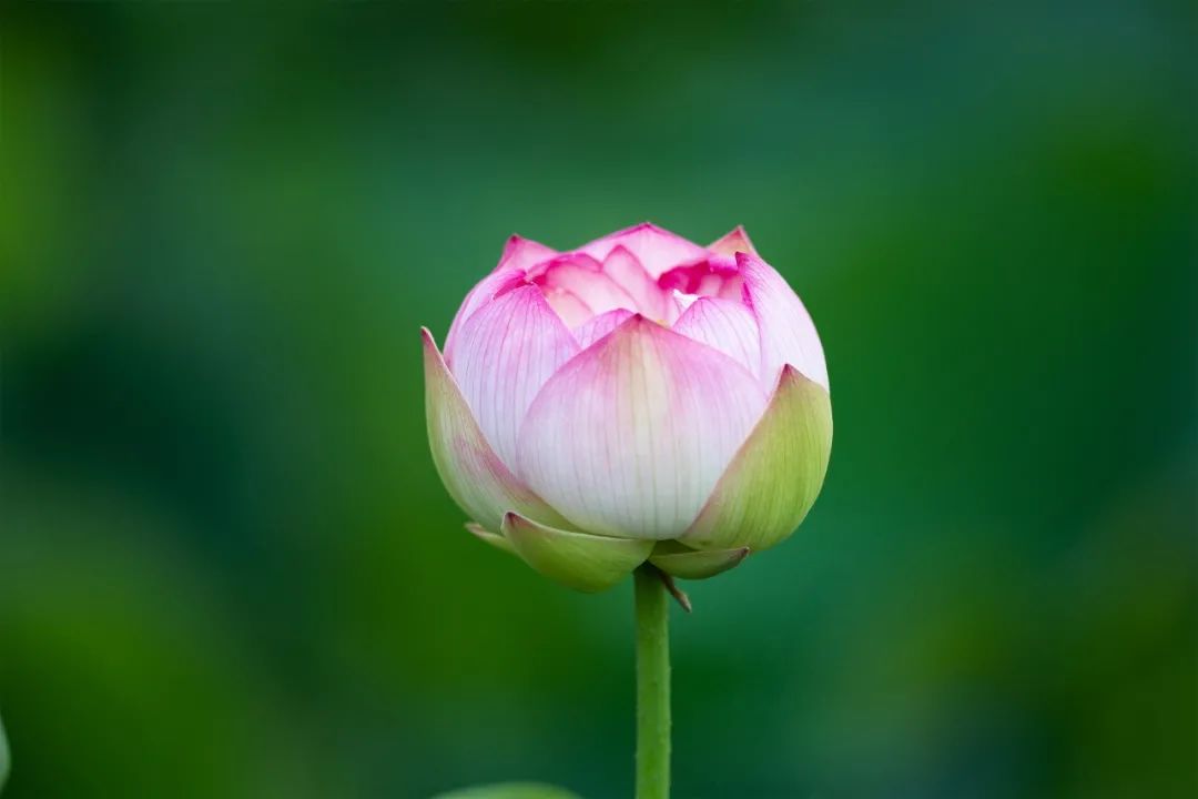 今日中伏 i 最能把身体寒气排出来的20天!为了健康,请做好"8个一"!