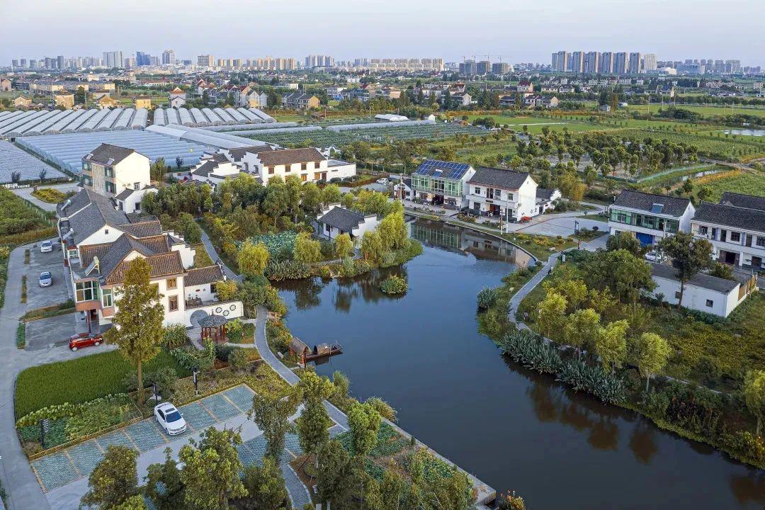 去乡村感受美好嘉兴竟藏着这些宝藏村落