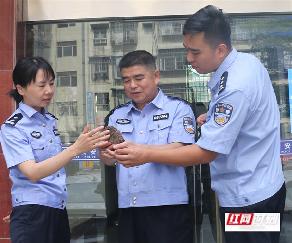 猫头鹰幼崽从树上掉下摔伤，铁警手捧“小宝贝”送其回“家”