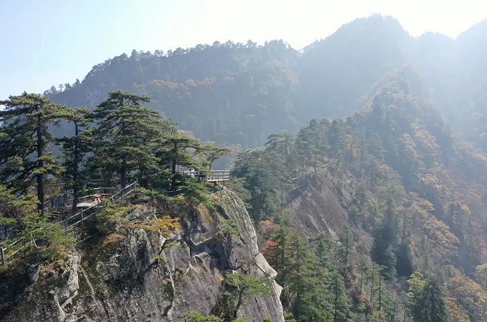 来源南召宝天曼景区公众号