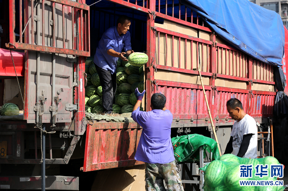 "三伏"天里的"果盘子"