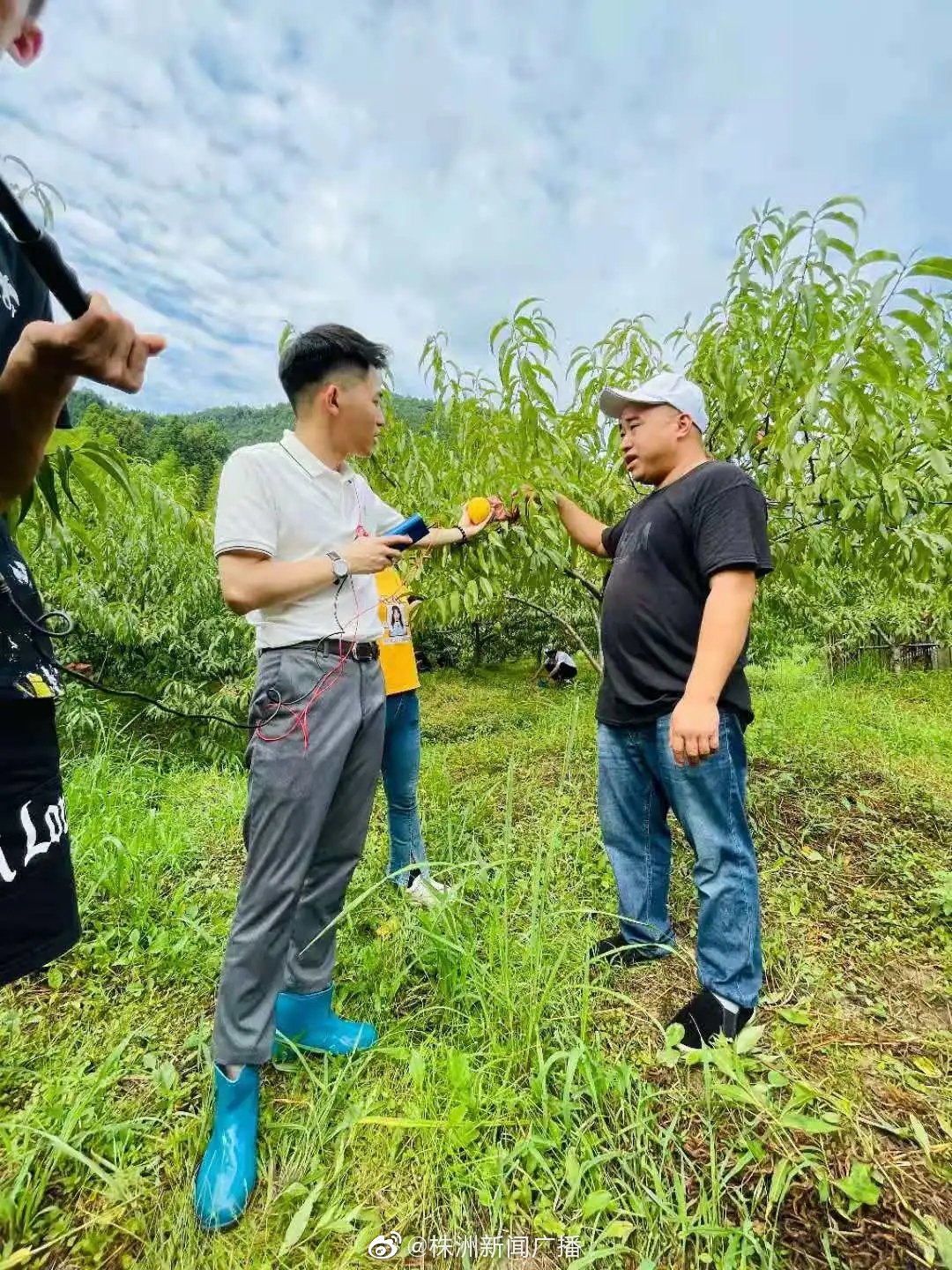 抖音"衣哥"公益助农 直播带货助力乡村振兴|扶贫_新浪新闻