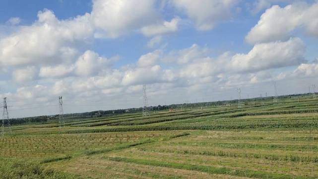 昨天高铁上拍的山东大平原,这么看是不是像草原?