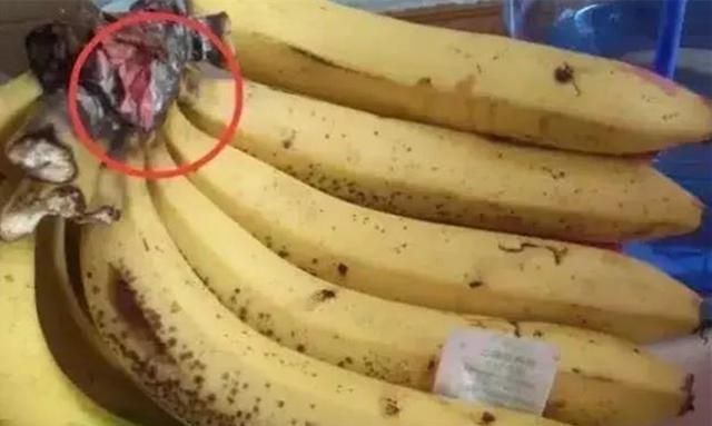 为什么“儿童白血病”人群不断增多?3种水果,建议孩子离远点休闲区蓝鸢梦想 - Www.slyday.coM 为什么“儿童白血病”人群不断增多?3种水果,建议孩子离远点休闲区蓝鸢梦想 - Www.slyday.coM