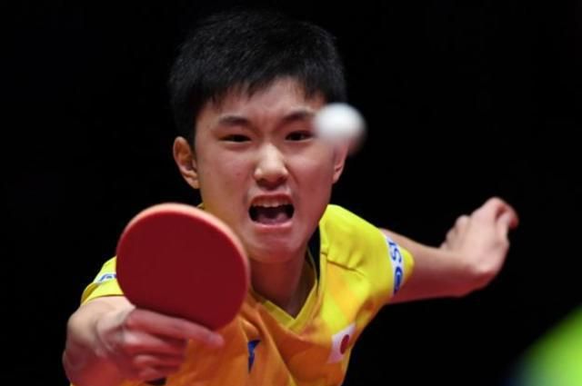 男单冠军稳了!樊振东与张本智和同在上半区,马龙奥恰分在下半区休闲区蓝鸢梦想 - Www.slyday.coM