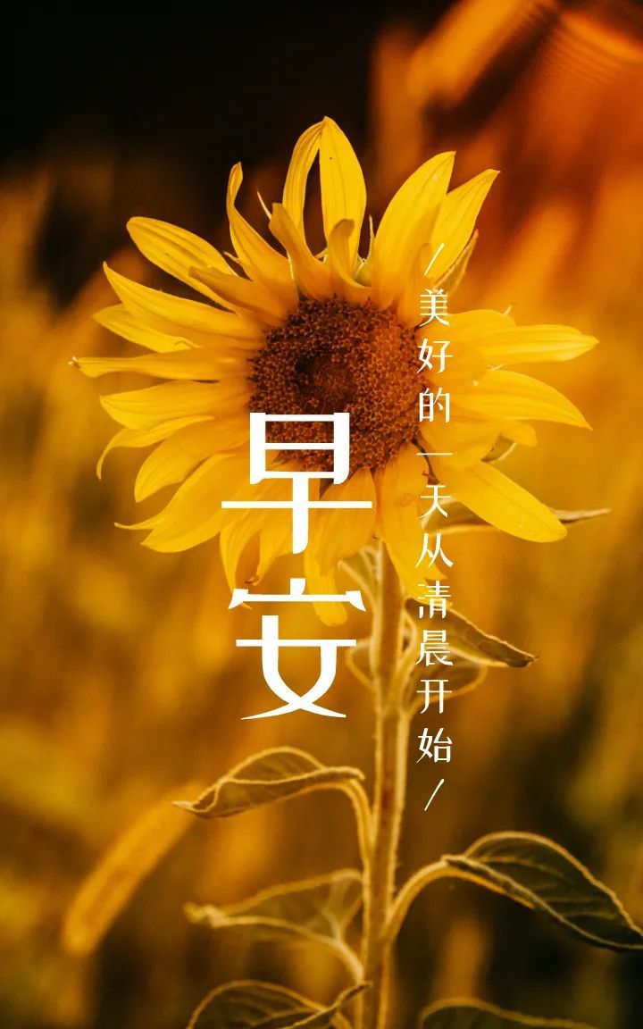 早安图片励志心语今日正能量