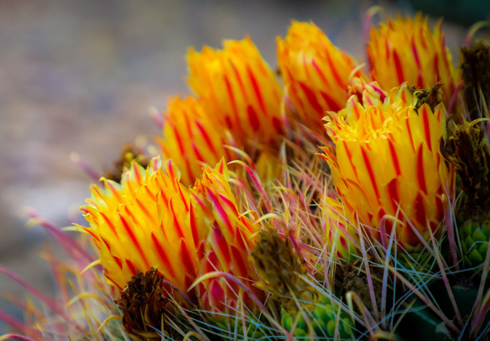 7月底心心念念旧情难散好运眷顾3星座分分合合喜结良缘