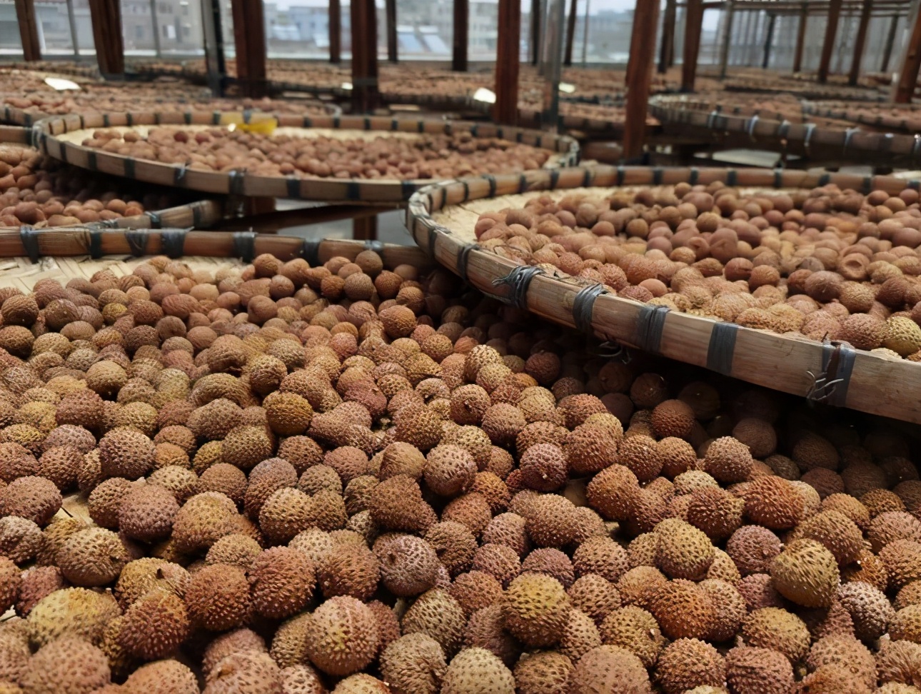 自晒荔枝干能直接晒吗学会这么做5天就晒好