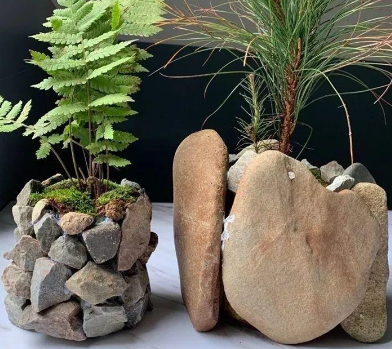 大石头小石头养花各有妙用身边的朋友全抢疯了