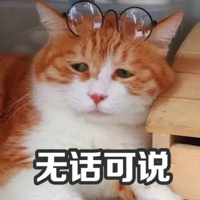 把奥运会开成吐槽大会，日本人真有你的休闲区蓝鸢梦想 - Www.slyday.coM