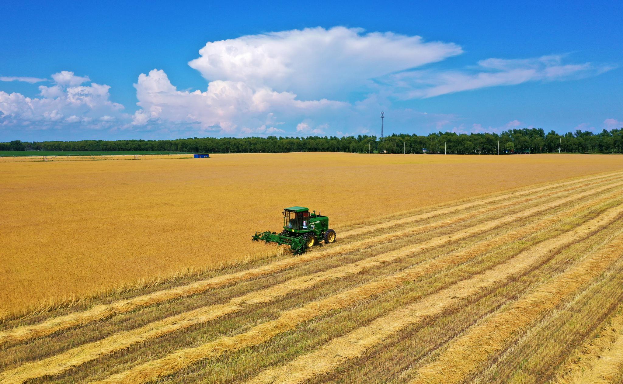 正文  党的十八大以来,黑龙江省不断完善现代农业生产体系,向机械化