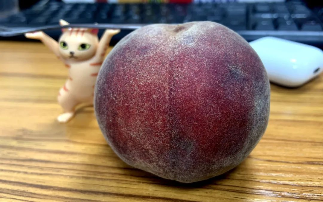 仅剩几天尝鲜期桃子界新宠稀有的黑桃皇后咬一口满嘴蜂蜜味儿