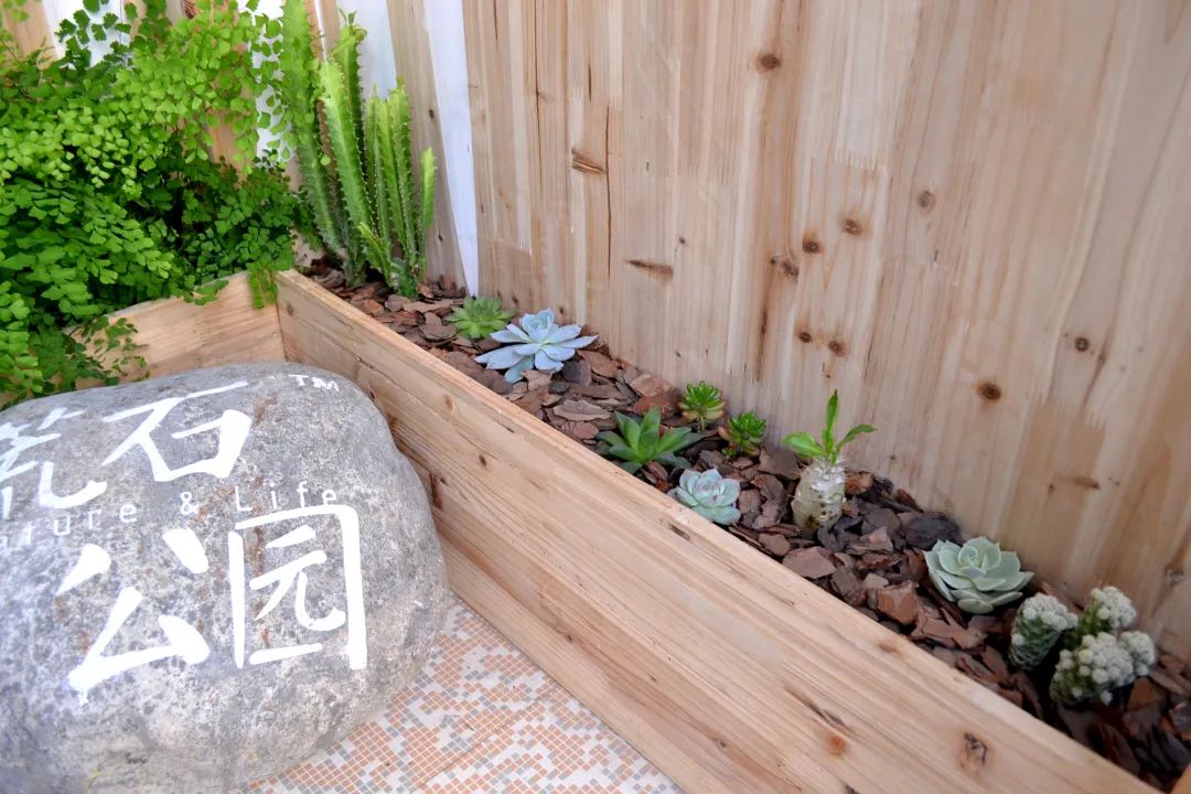 城北开了11年的宝藏店铺把一片山林搬到了城南