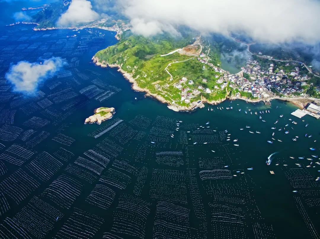 嵊泗县枸杞乡:发挥统战优势 助力民营企业高质量发展