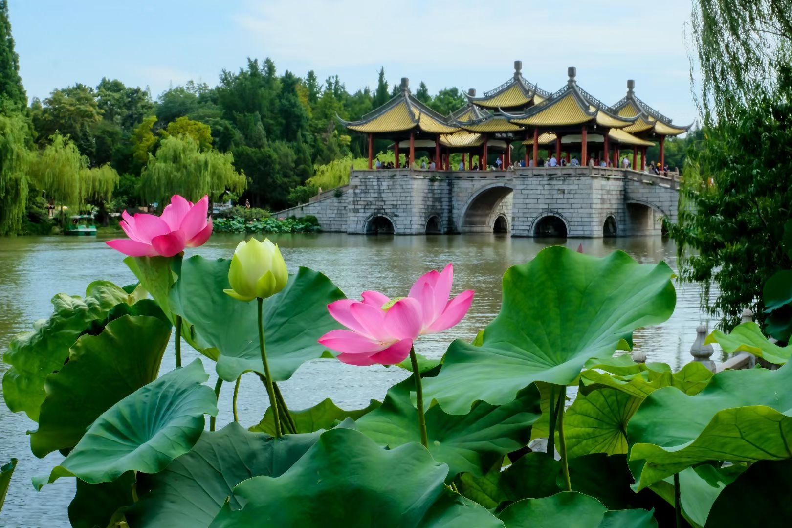 美丽江苏丨扬州瘦西湖:夏木阴阴正可人