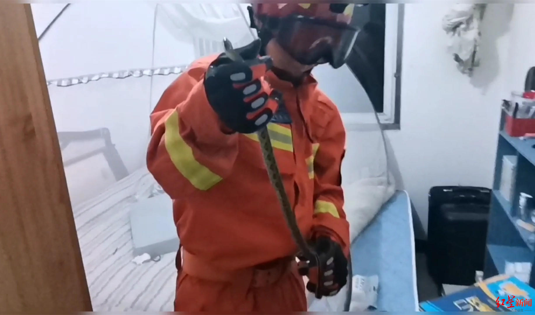 凌晨听见异响，女子开灯看见床头书柜上竟盘着一条蛇！消防抓蛇放生休闲区蓝鸢梦想 - Www.slyday.coM