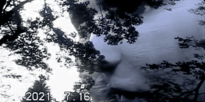 把奥运会开成吐槽大会，日本人真有你的休闲区蓝鸢梦想 - Www.slyday.coM