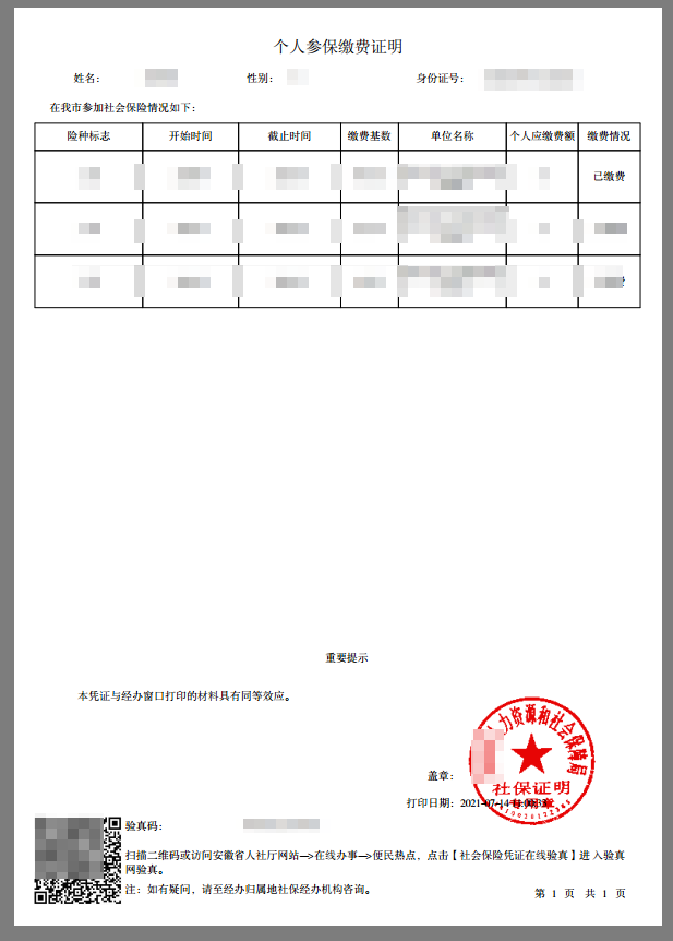  社保记录在哪里打印，社保个人参保缴费证明电子版