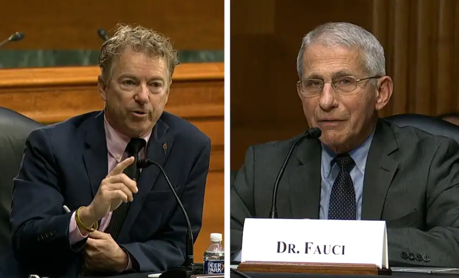 兰德·保罗（左）在国会听证会上向福奇发起质询 视频截图