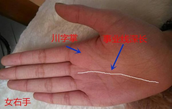 这类手相的人可以用一句话来形容,就是鱼和熊掌不可兼得,既属于标准的