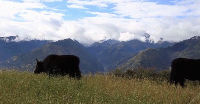 662_344gif 动态图 动图