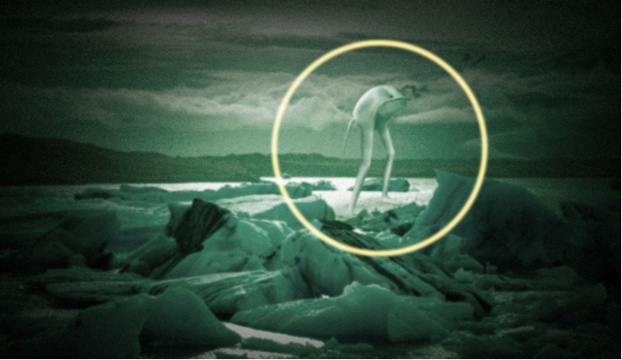 未知生物现身南极洲,而且不止一个!南极真的存在外星基地?