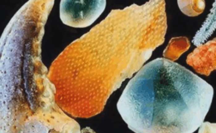 男子沙滩上将沙子放大1000倍,没想到看到了这些画面