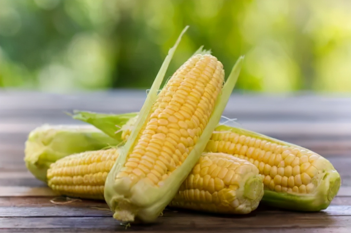 冷冻保存玉米时牢记这2点口感软嫩鲜甜放1年也和新鲜的一样