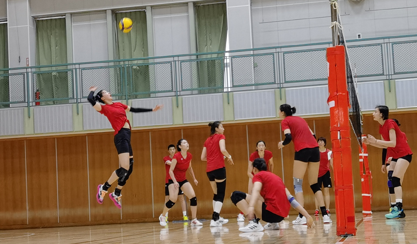 不过今天的训练中,可以看到中国女排的分组和郎平单独对话球员们,其中