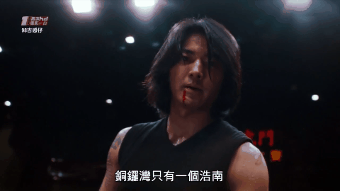 友情岁月|郑伊健|古惑仔_新浪新闻