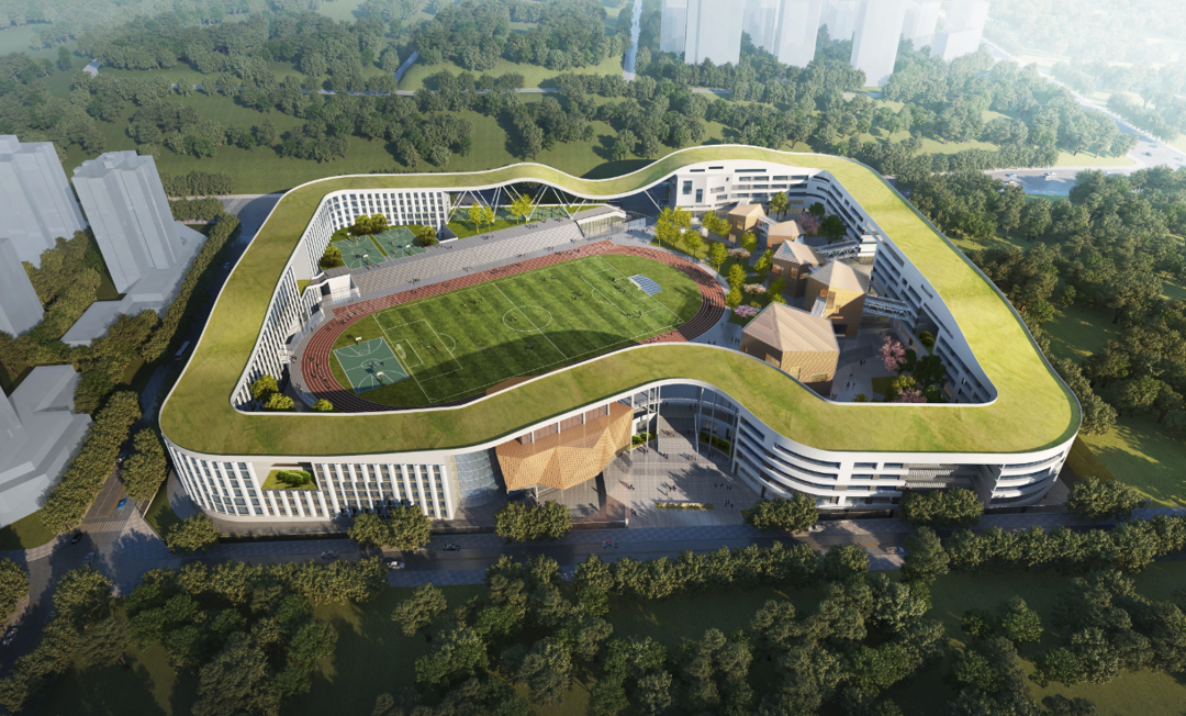 这4所中小学规划设计方案,亮相广阳岛智创生态城