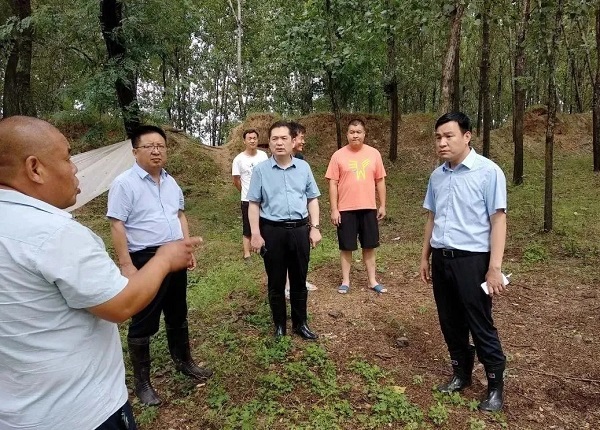 风雨中我们守望相助