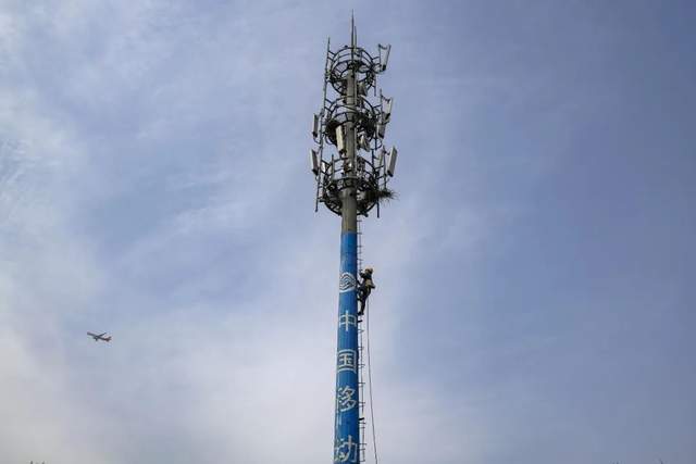 在风雨飘摇之时,一些小区的业主会交流起哪家运营商还有信号.