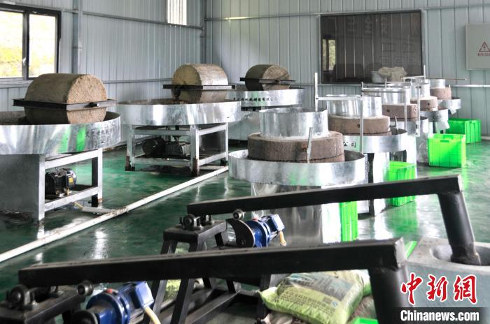 三峡艾草飘香中药材产业助力库区产业升级