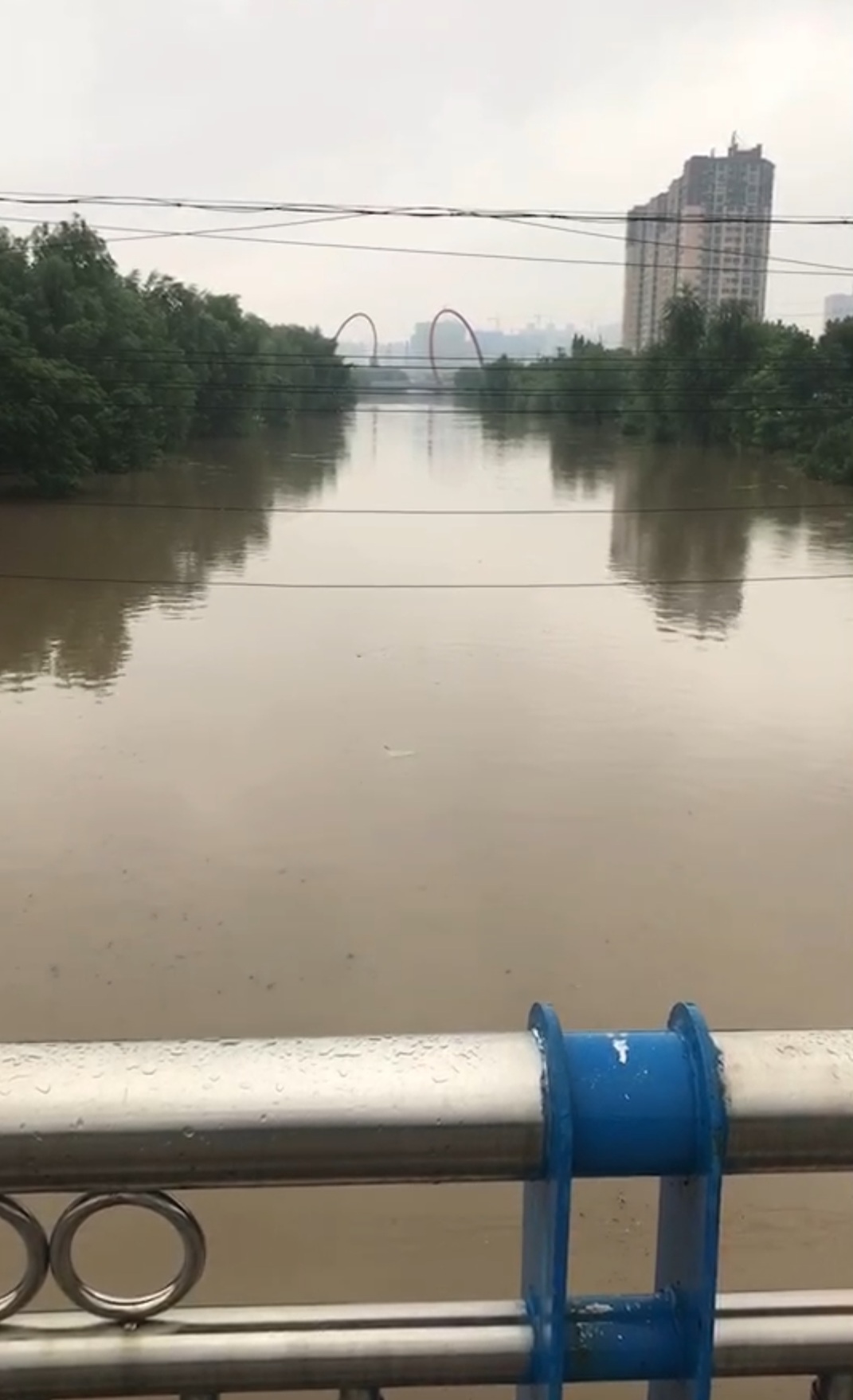 卫河水位上涨,视频截图.受访者提供