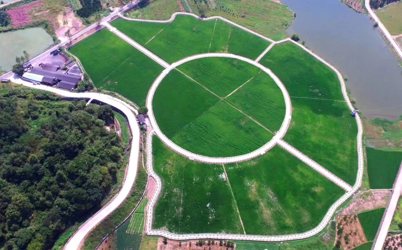 近日,建德市大洋镇精品柑橘主题农园正式投入使用.