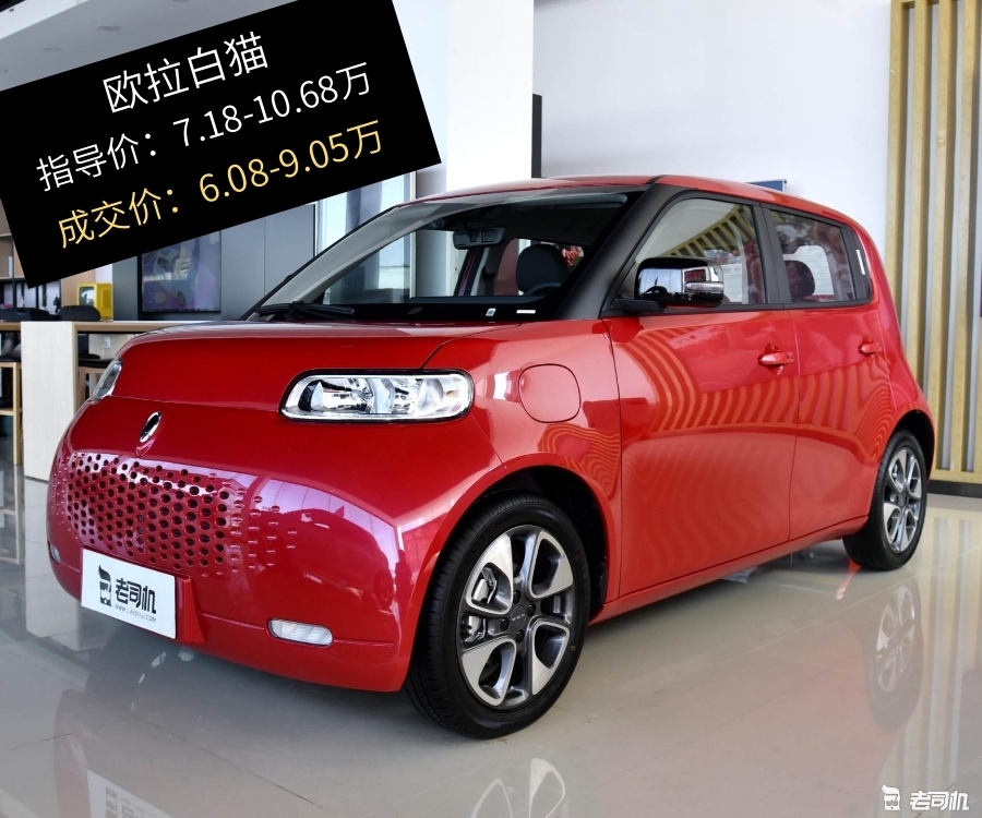 这款车值得考虑 最高优惠1.63万的欧拉白猫了解一下