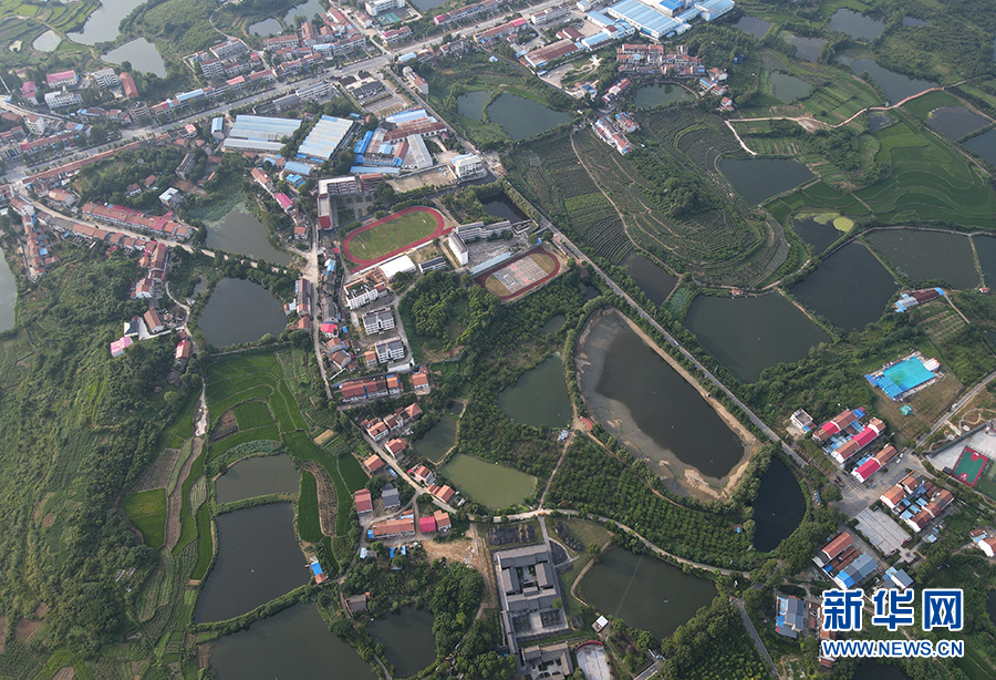 【走进红色美丽村庄】"红""绿"之美陈策楼