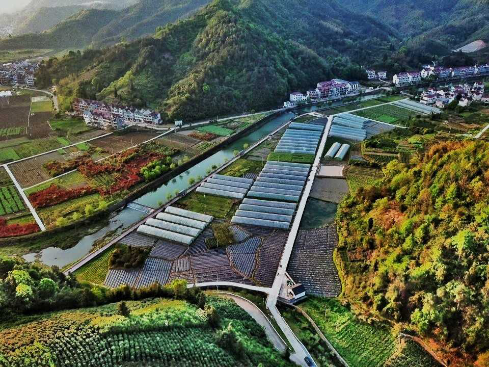 建德大洋镇:对标"大杭州"后花园 高标准建设美丽城镇