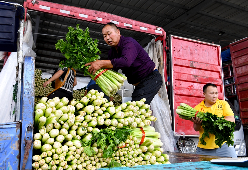 7月22日,在河南万邦国际农产品物流城,工作人员在搬运蔬菜.