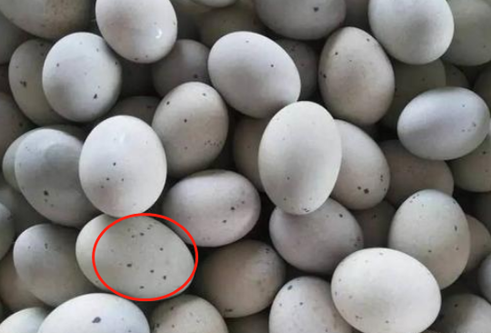 买皮蛋选黑点多还是少区别大为了健康
