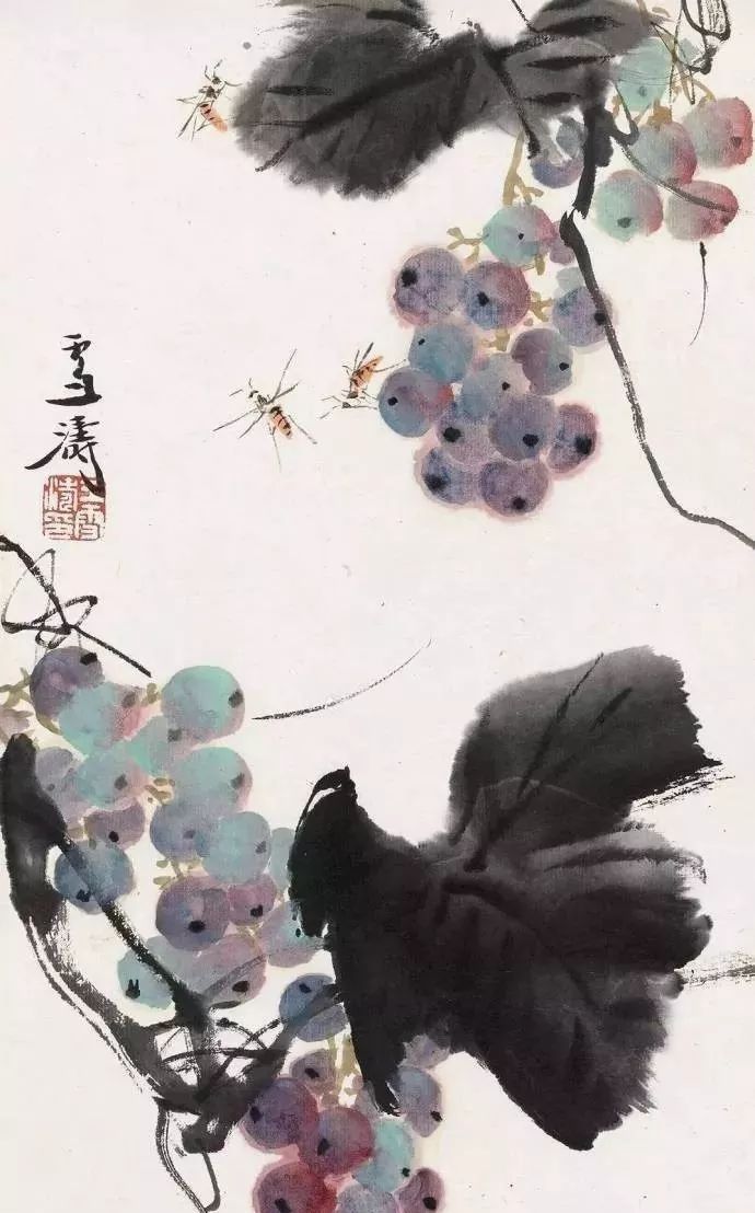 名家笔下的写意葡萄解渴
