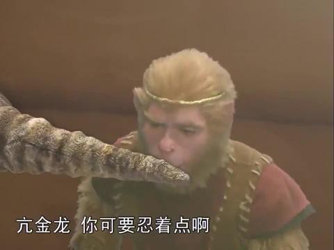 悟空在金箔里逃不出去,要钻进亢金龙的角里面,可给他疼得够呛!